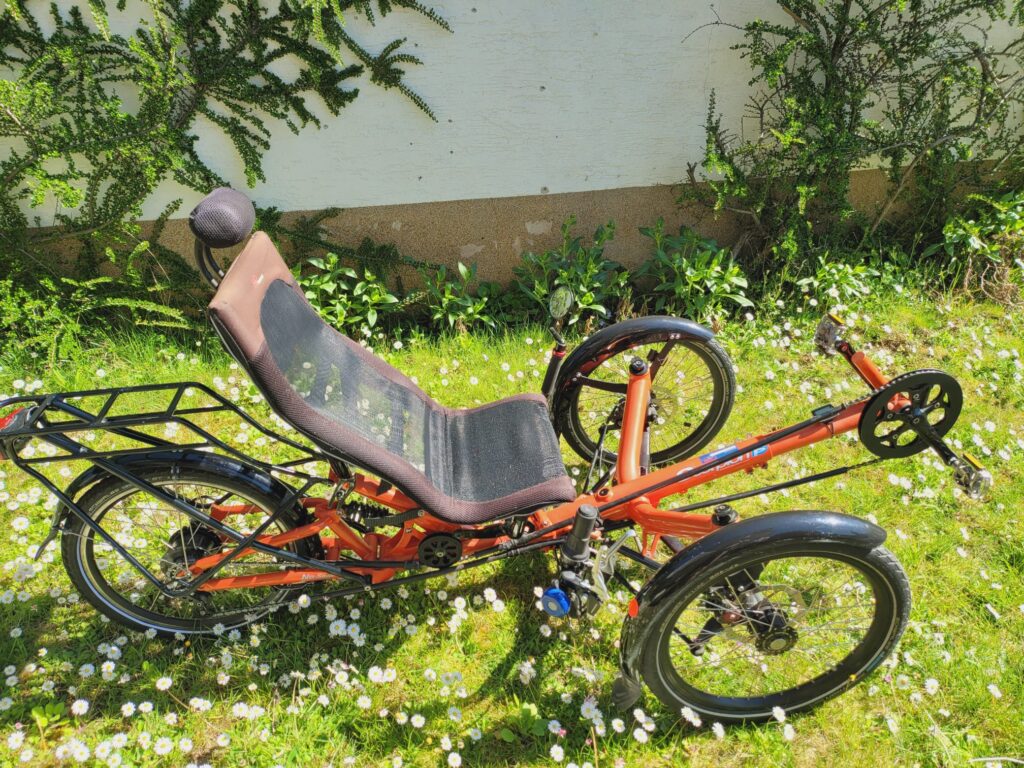 Eintragsbild