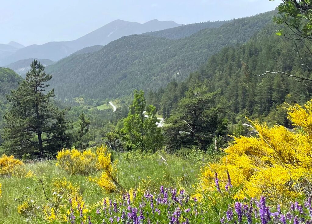 Anstieg Col de Carabes