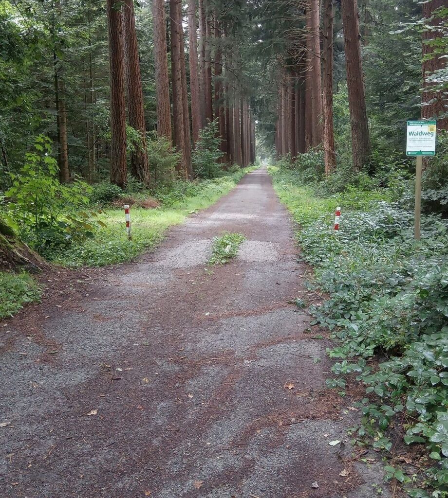 Lieber so, als durch eine große Stadt